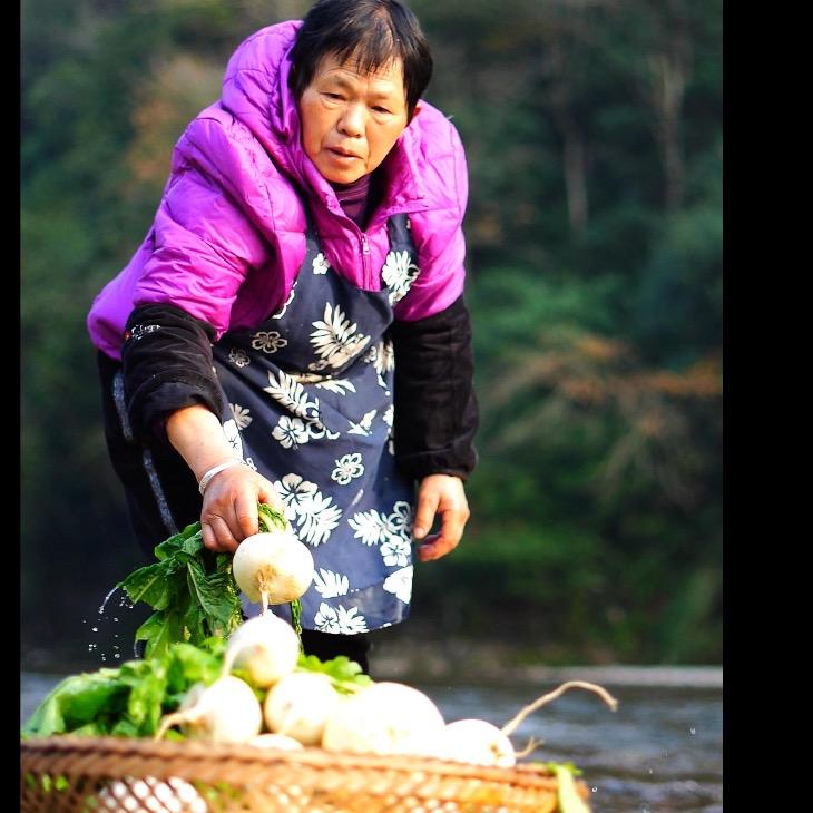 外婆的花水湾