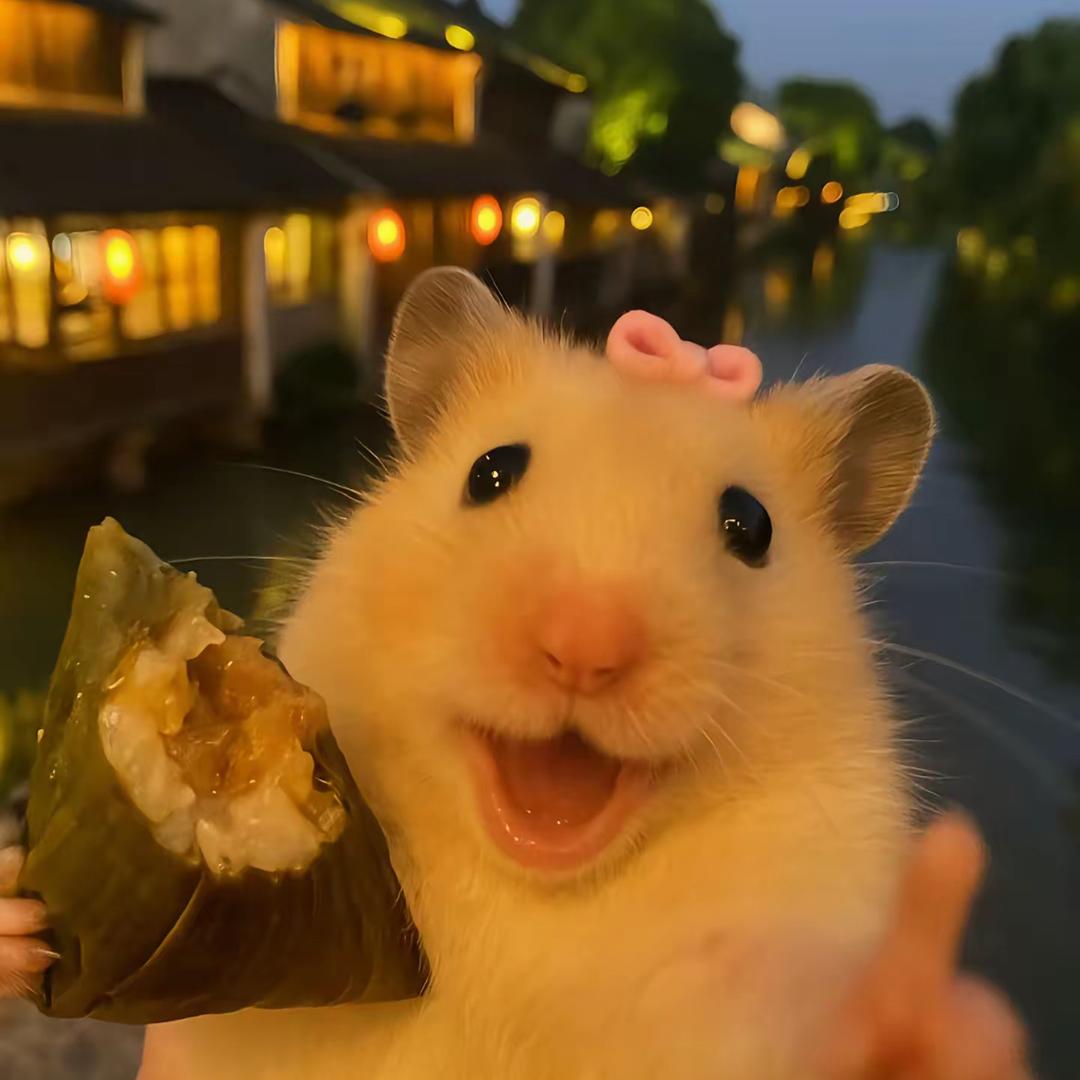 晁泽惠