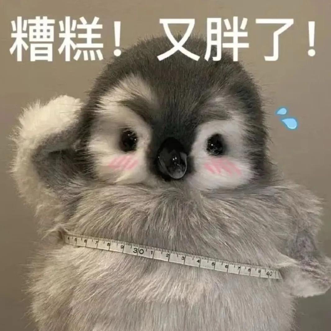 陈疏白