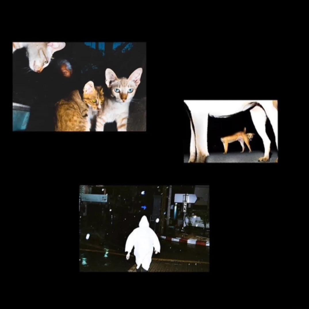 弥彦