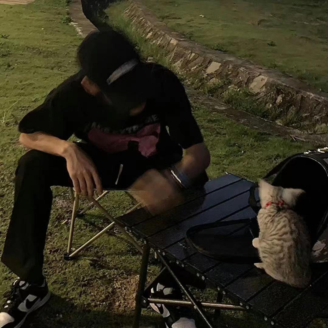 机智羔