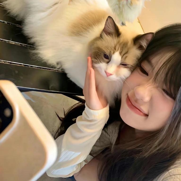 梅儿