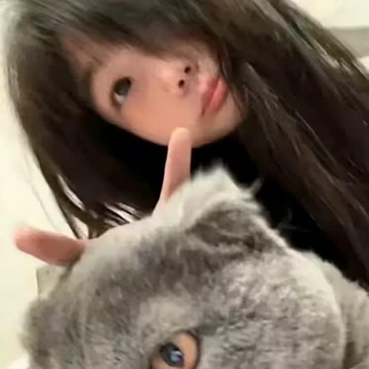 小呆呆
