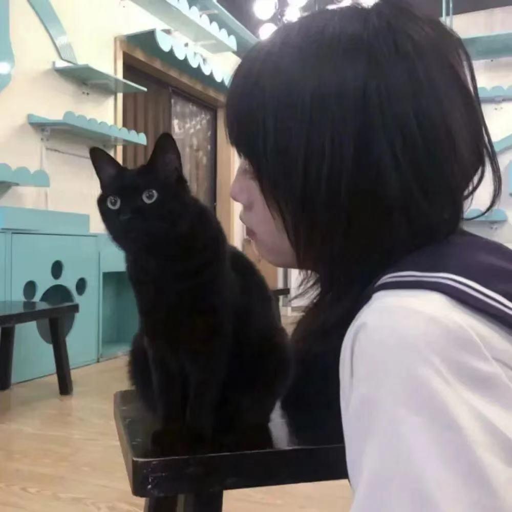 知礼短剧