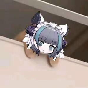 🌹花开富贵🌹