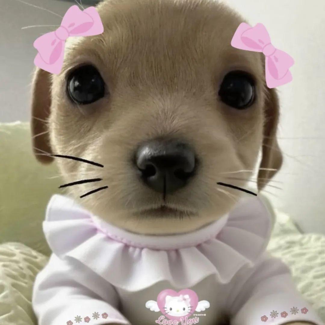一条咸水鱼