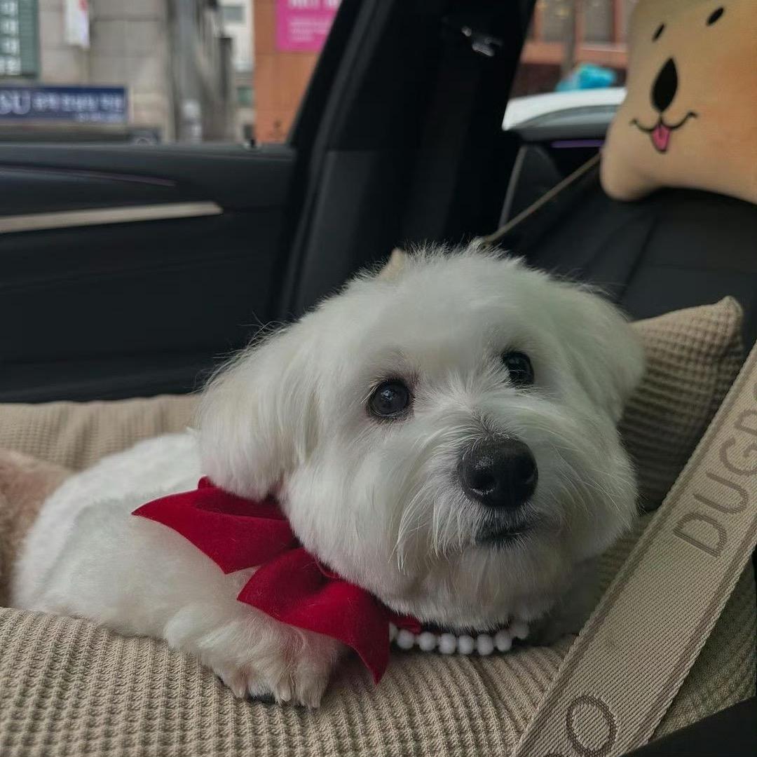 啊哈啊o