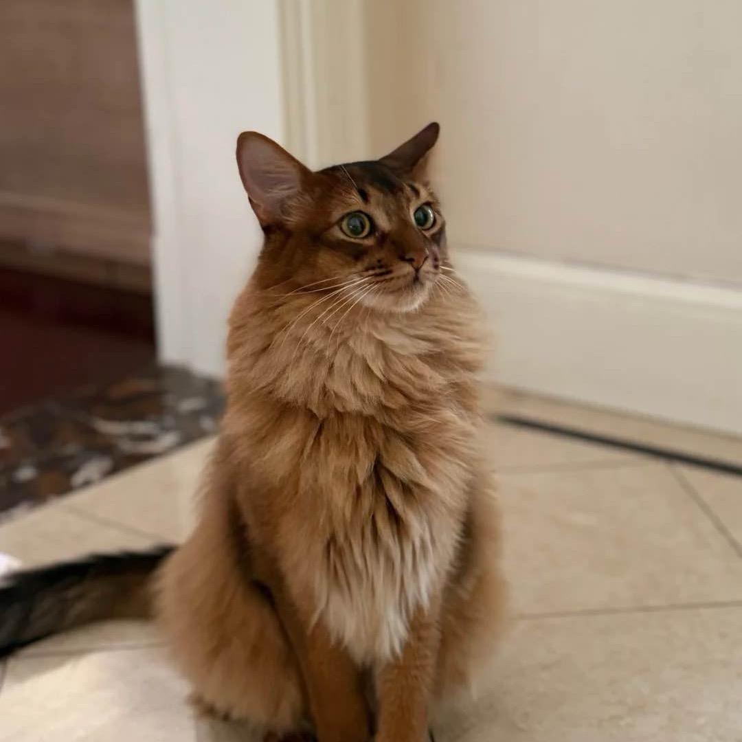 吃并快乐的小王