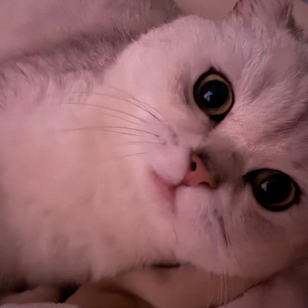 -璇