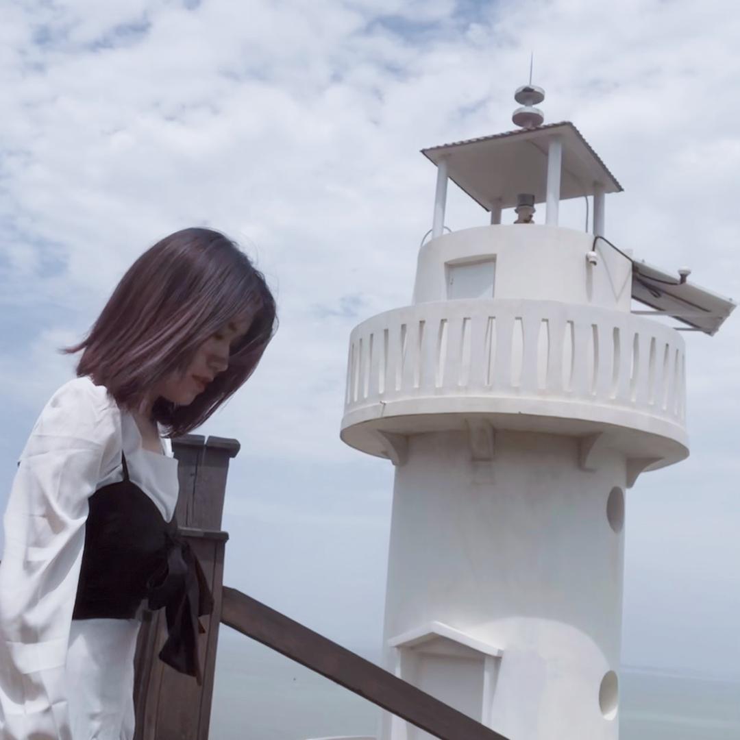 丸子不吃香菜(备婚版