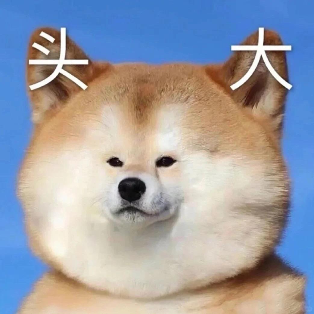 校园时光飘飘喔