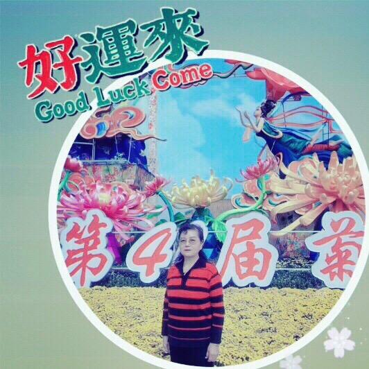 书琴