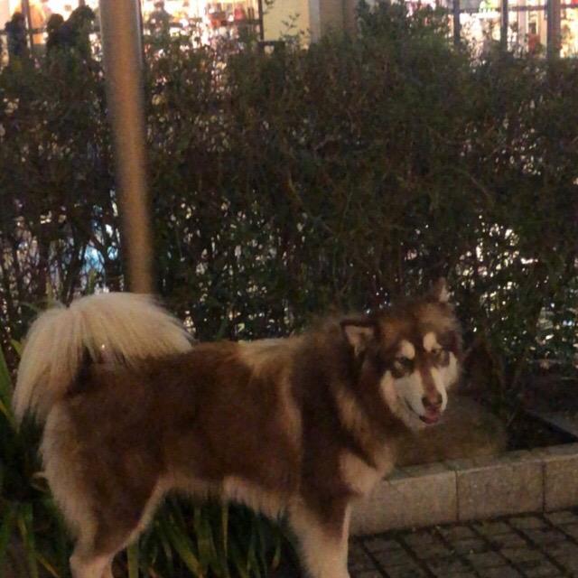 。。。。。。。头像