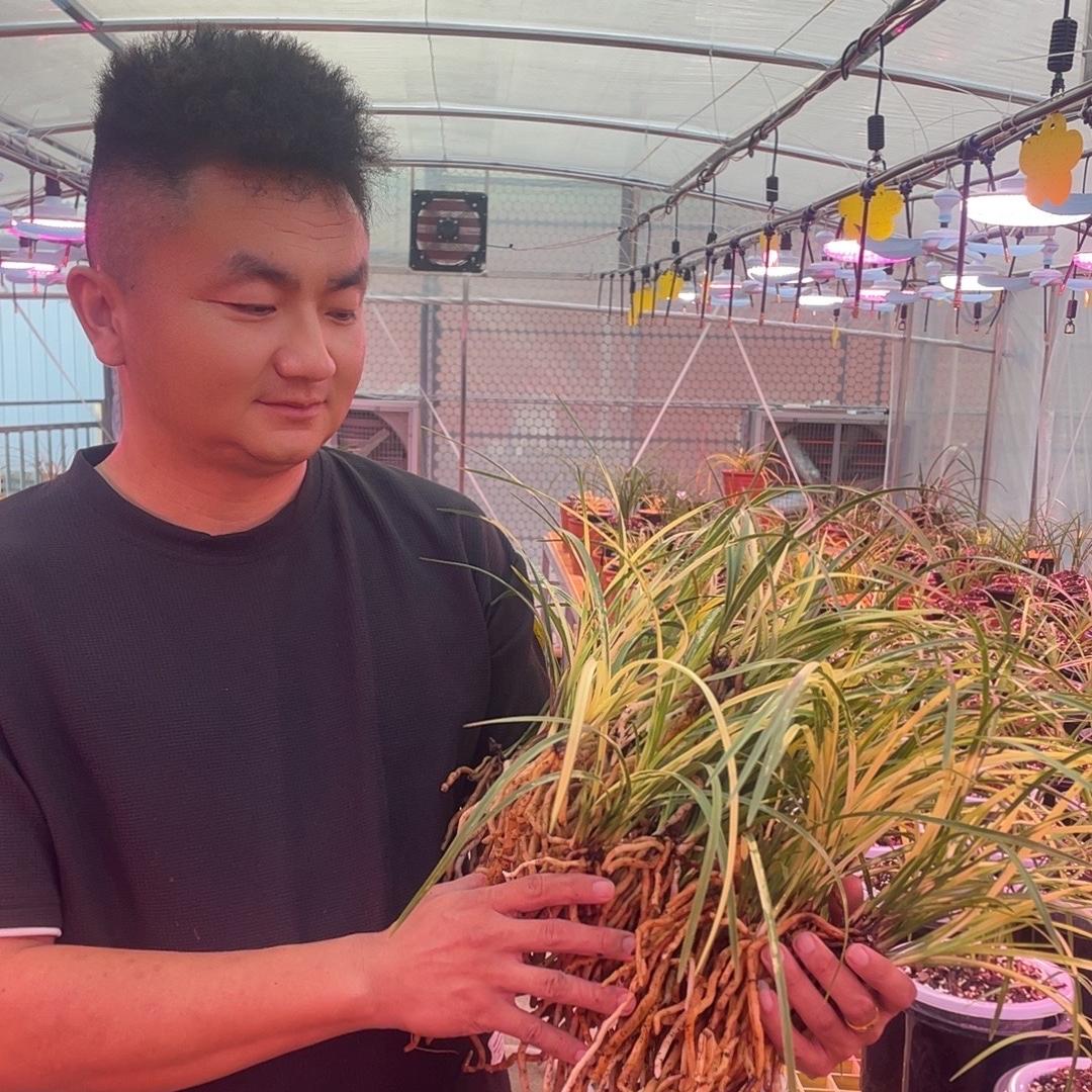 润达兰花苑