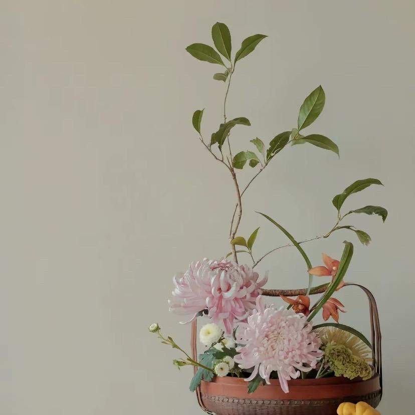 曾经的牡丹