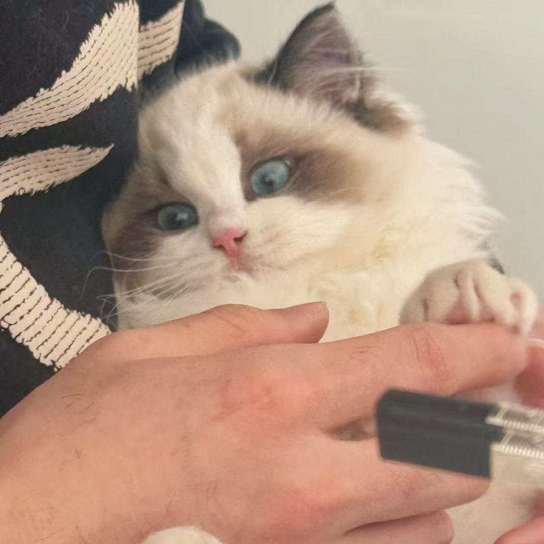 曹氏鸭脖周口文昌万达店