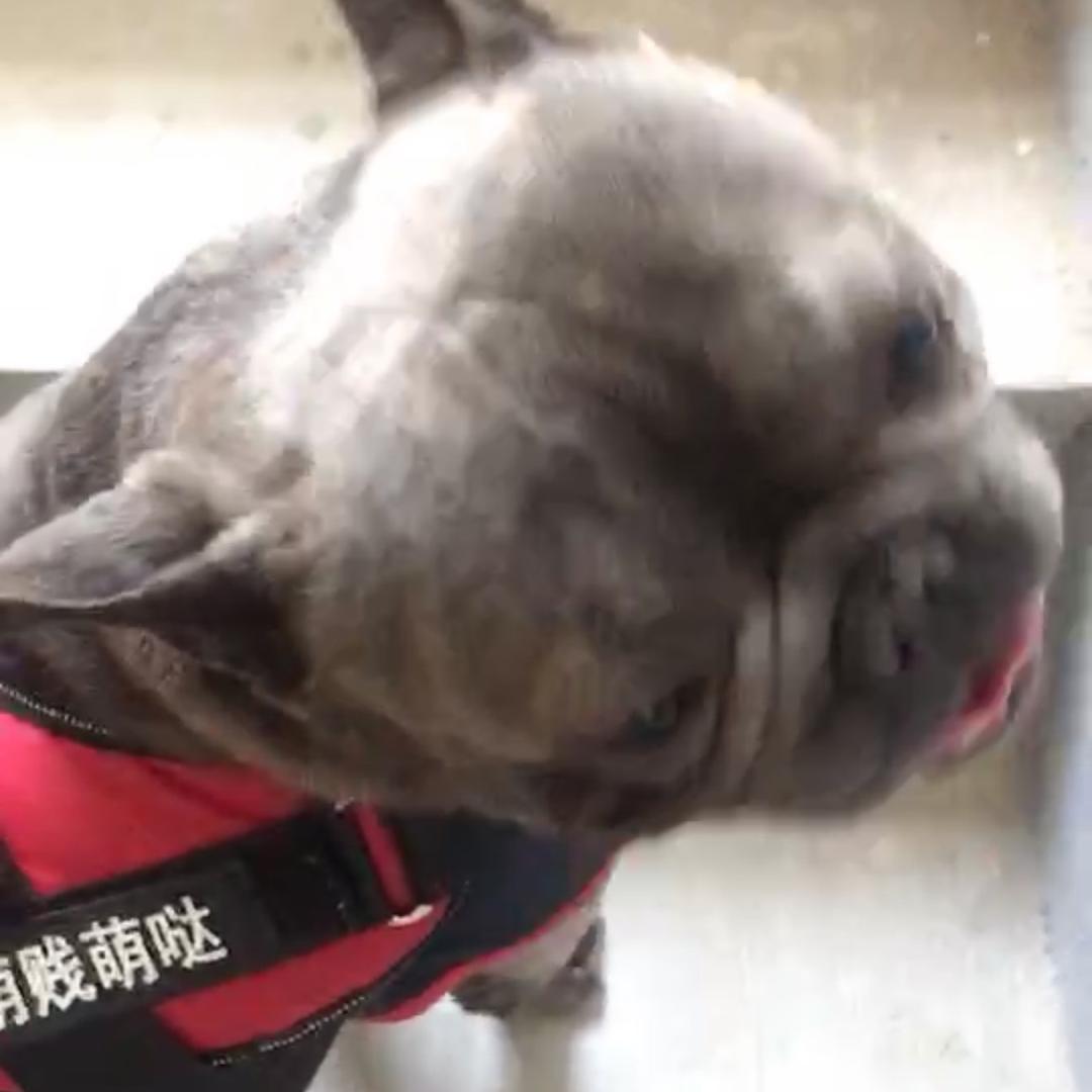 mei