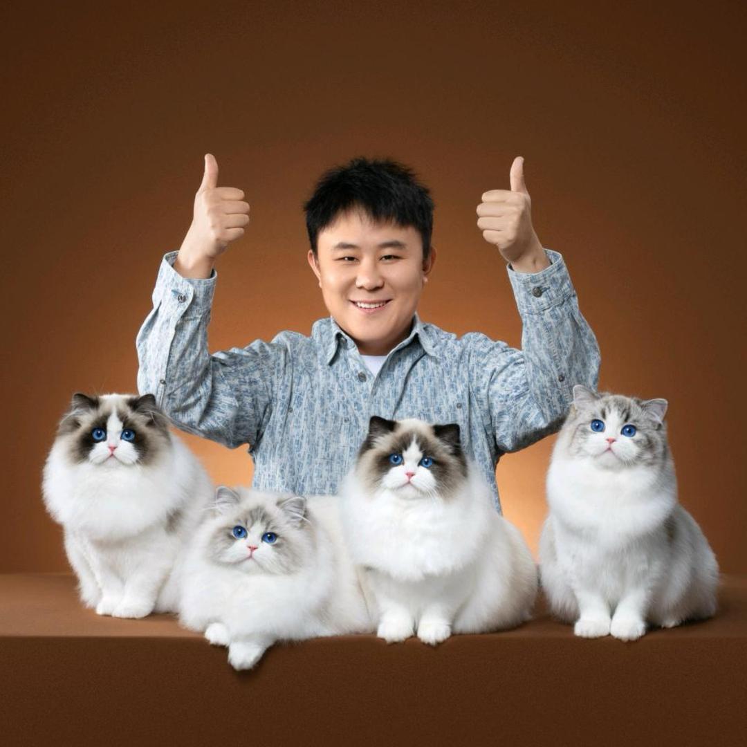 暖爪宠物生态