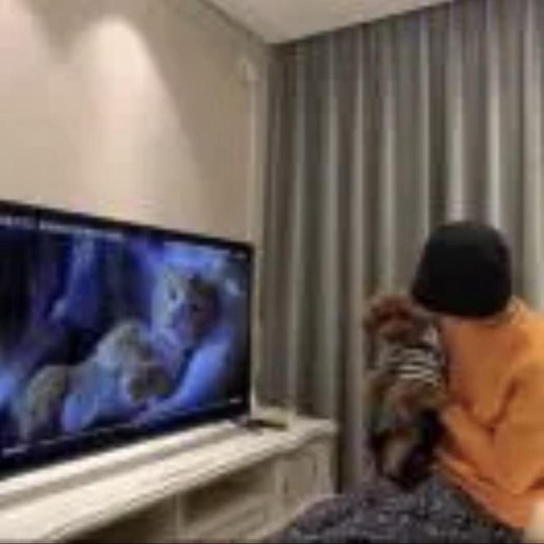 男辞