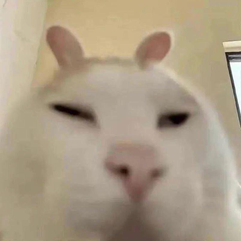 阿秋T^T