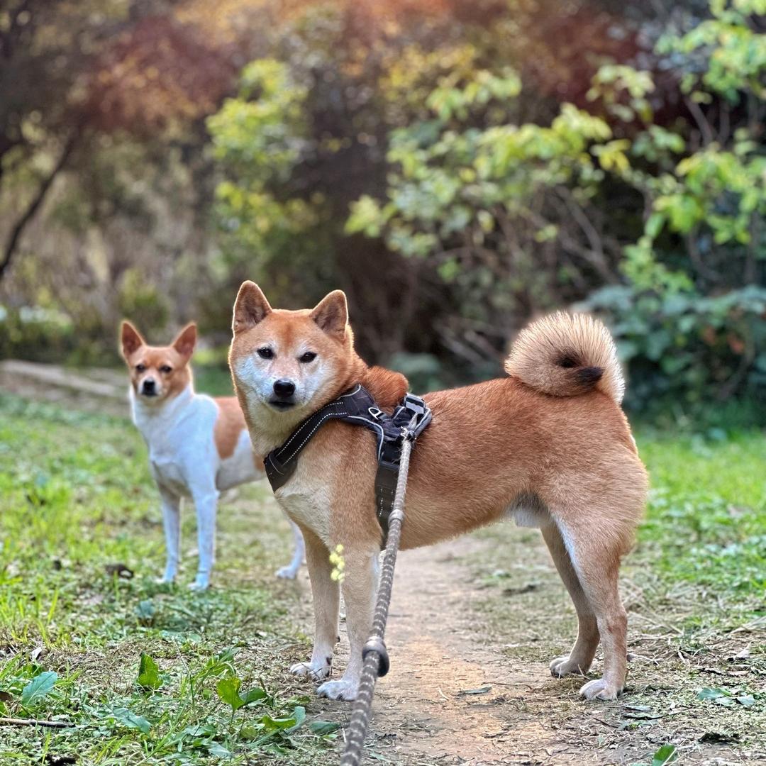 ⒎安♥
