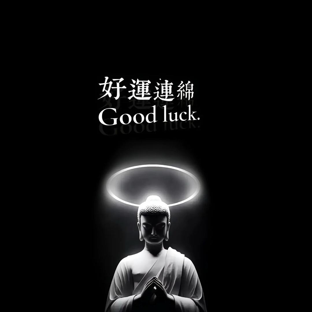 不好好好