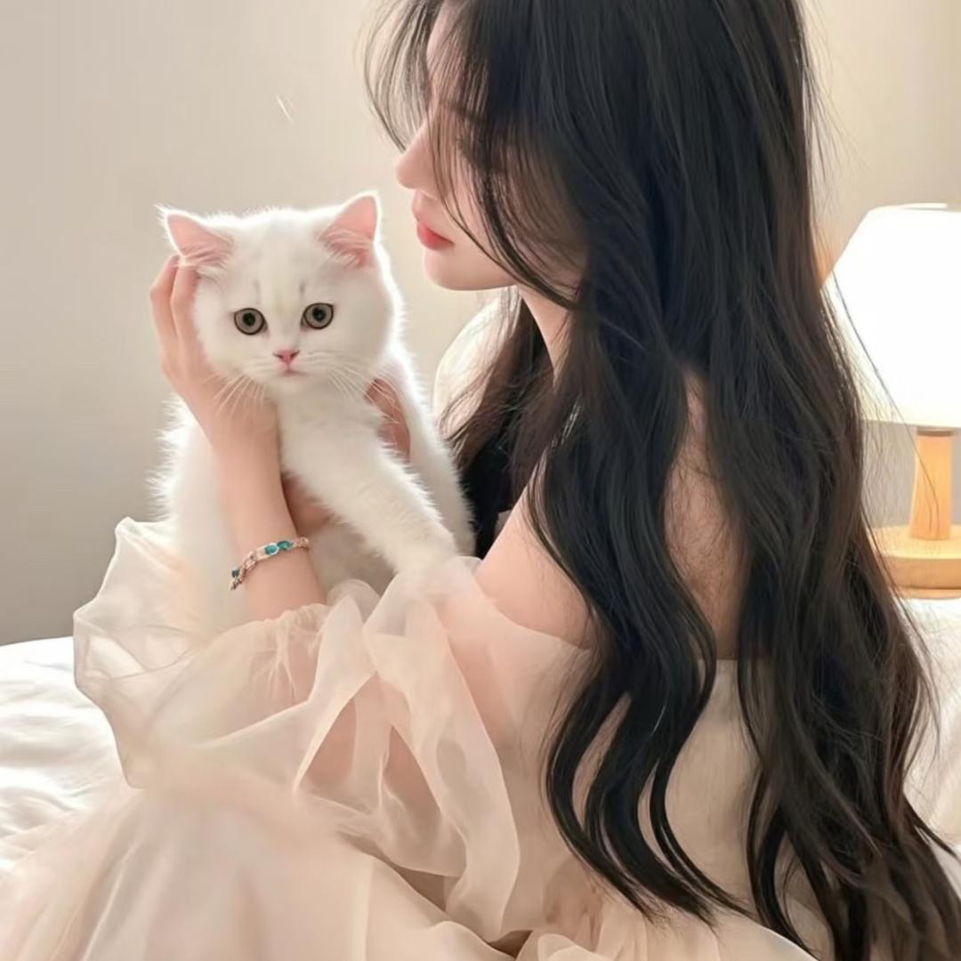 林喵喵🐱