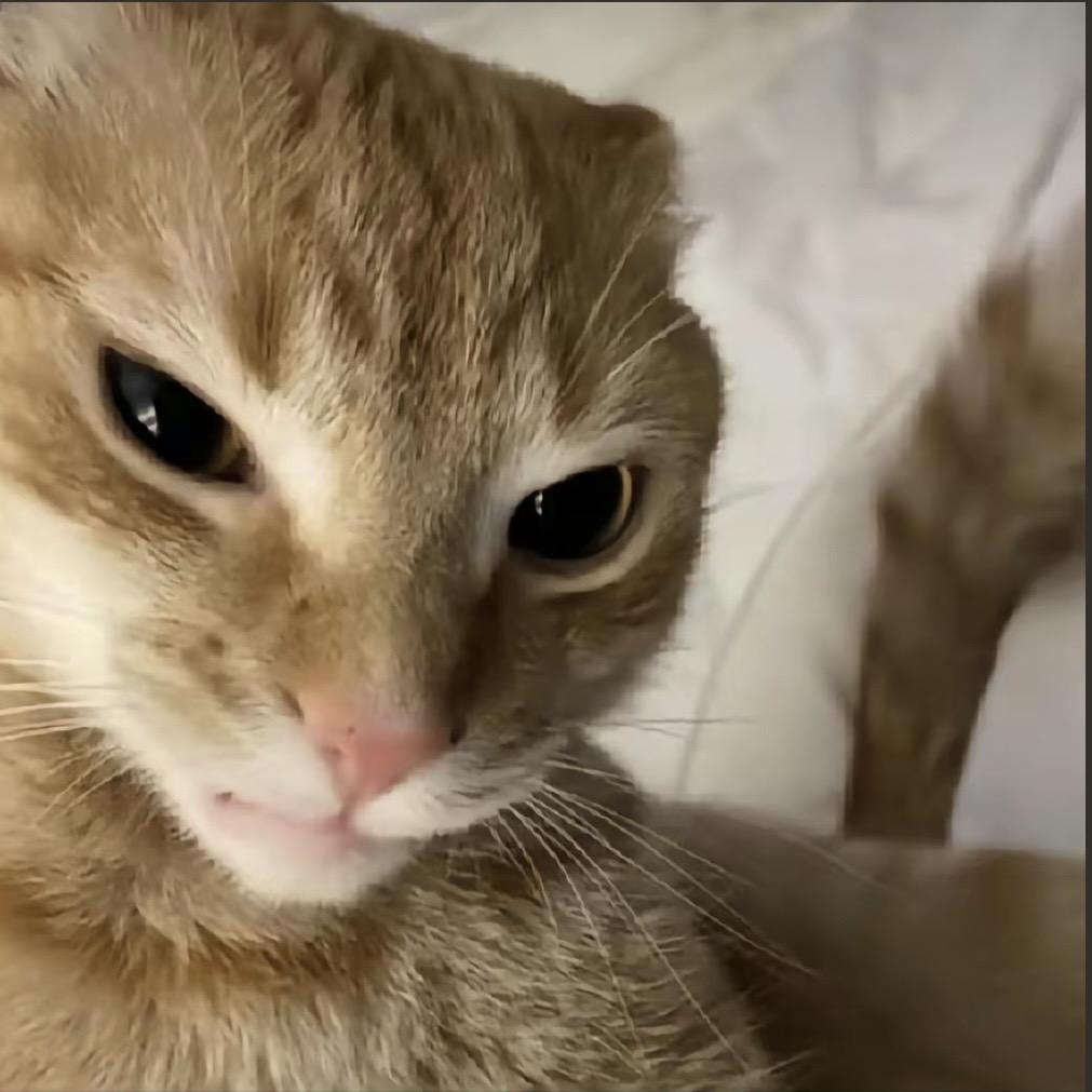 不想吃饭！