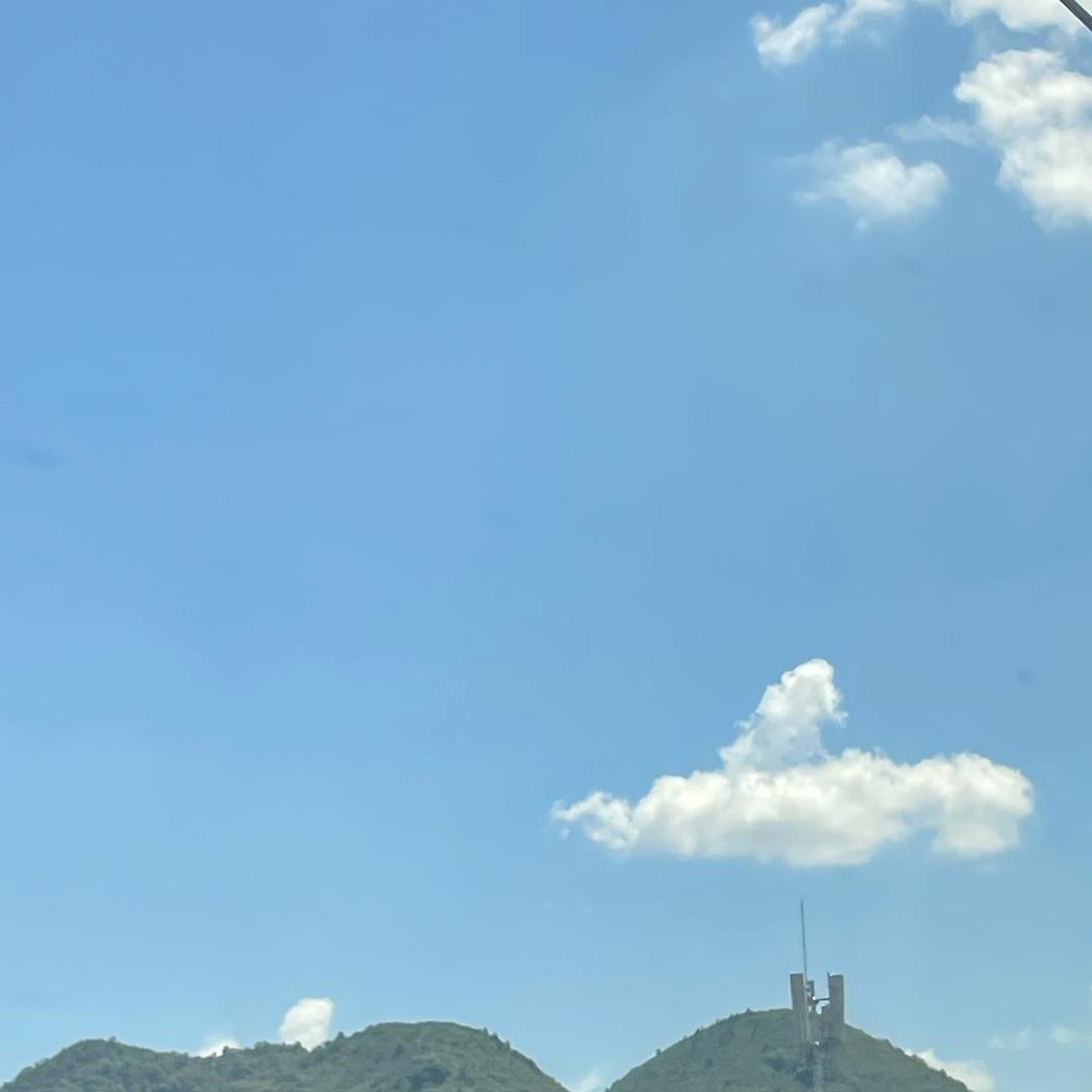 1q