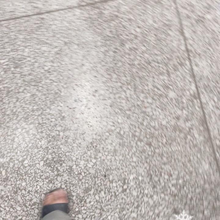 爱情鸟