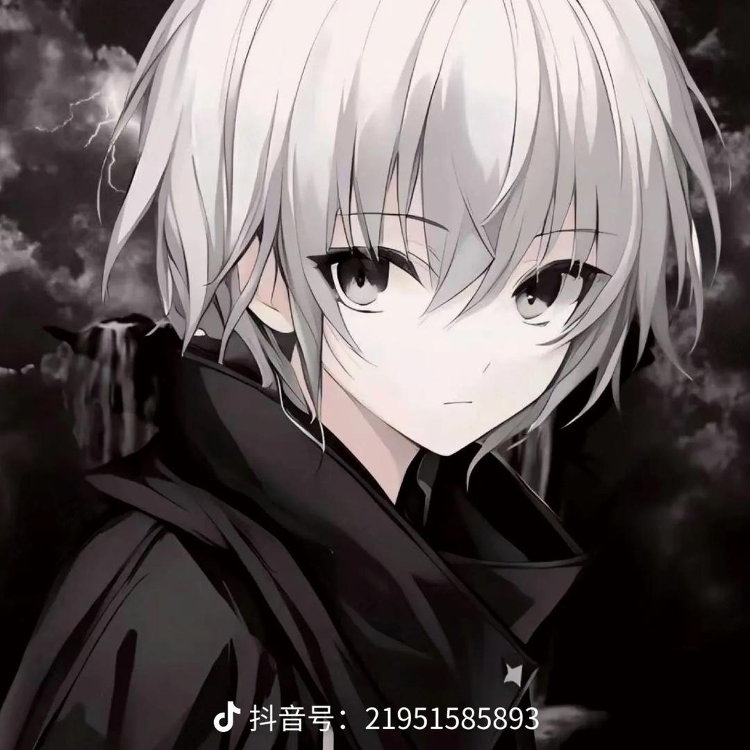 成都扬兆盛景科技