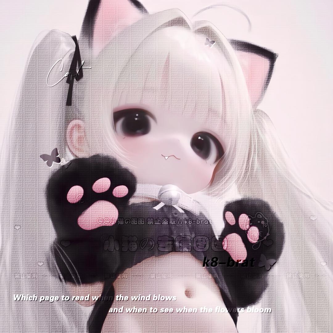 小猫大王