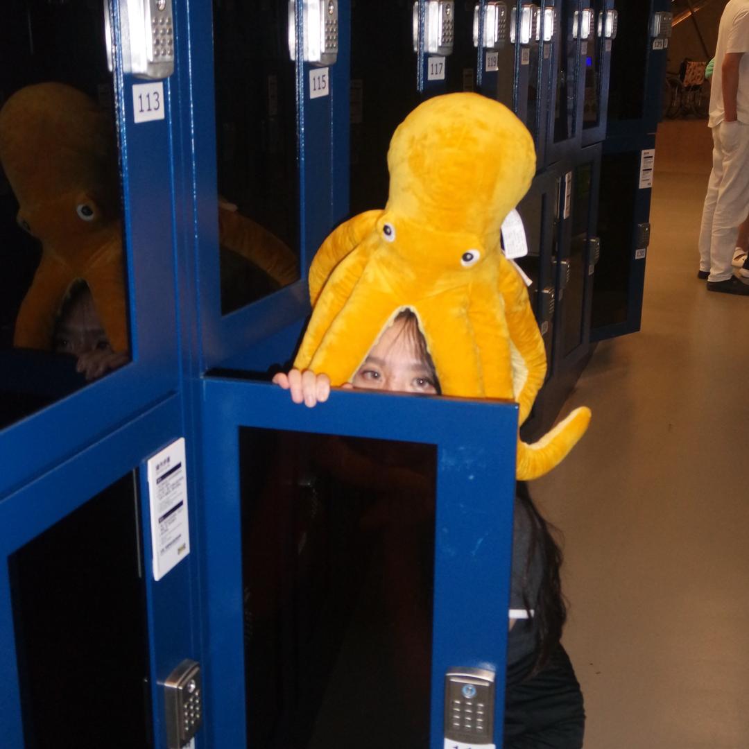 不吃西西的香菜🌿