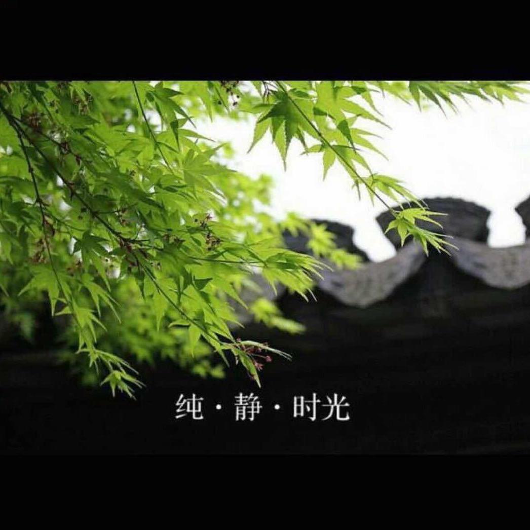 木宇璇