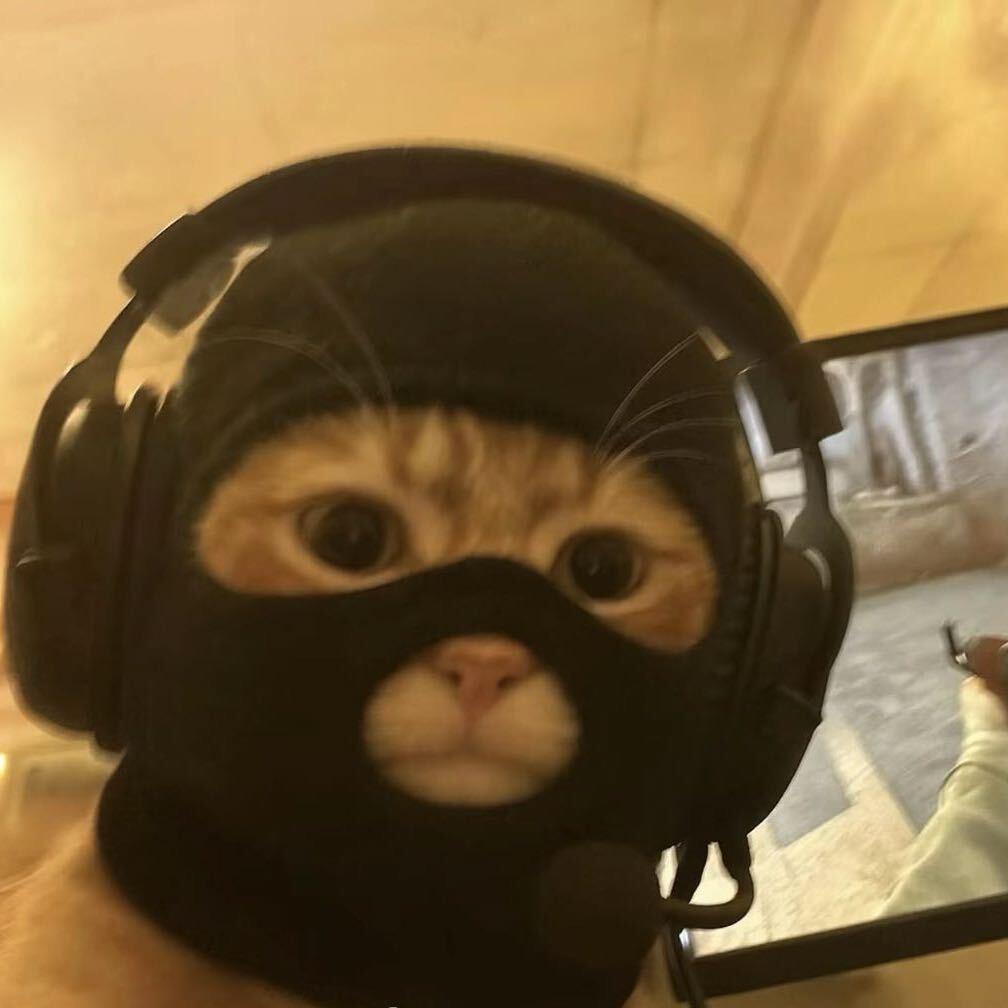 美庭