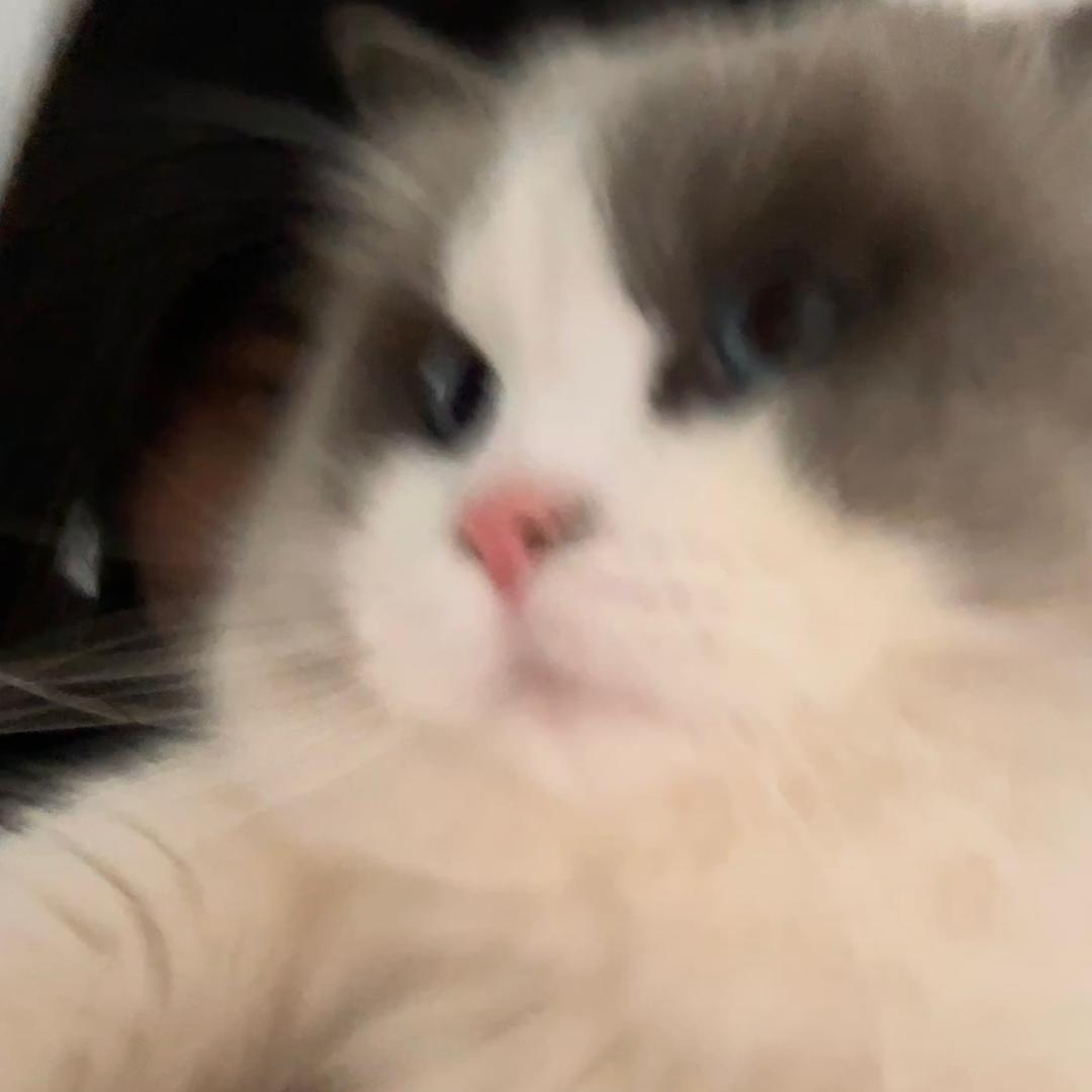 王嘉尔的女朋友39kg（苟延残喘版）