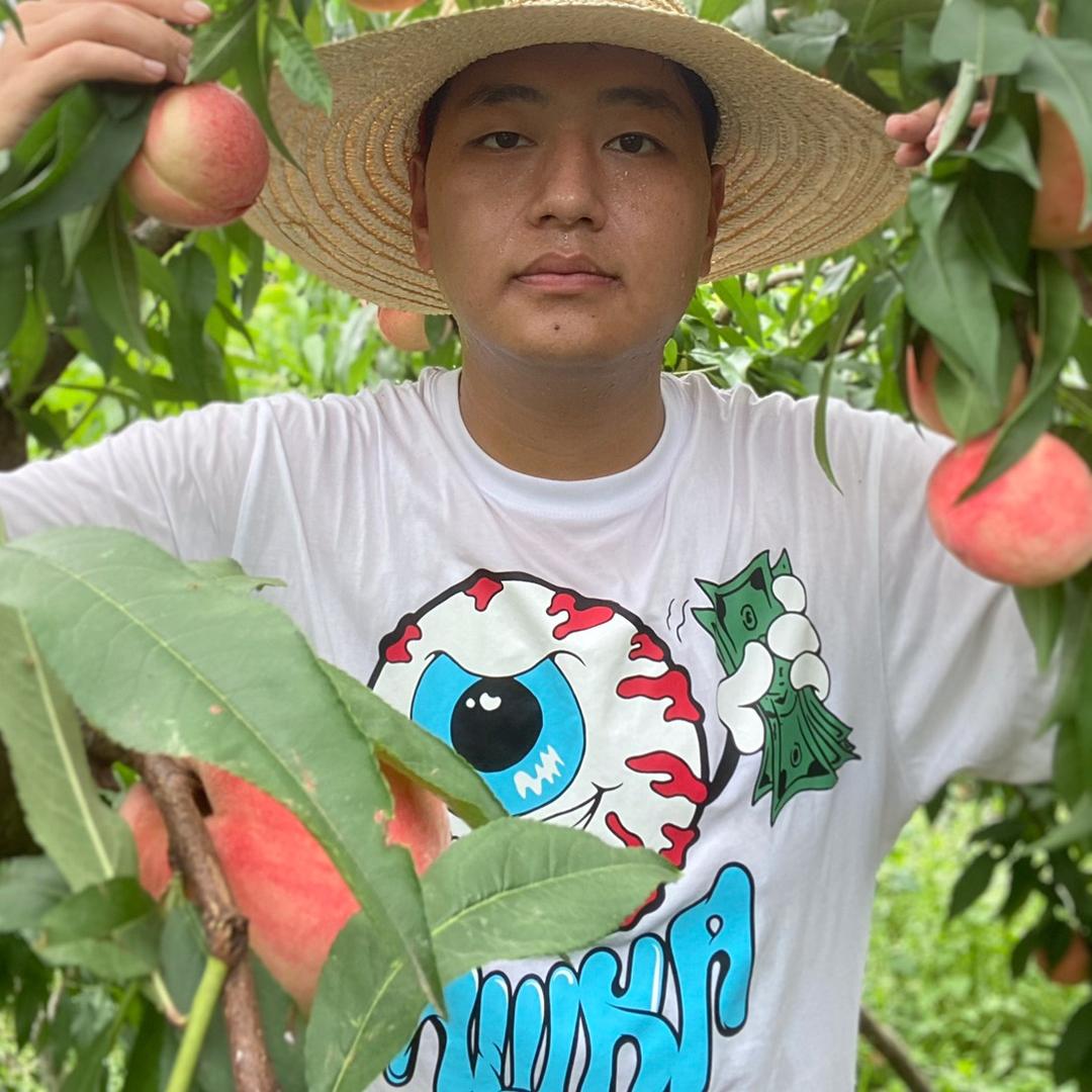 圣核果园小古