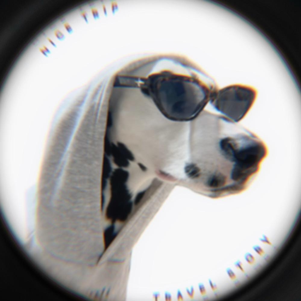 朝阳热心群众王某