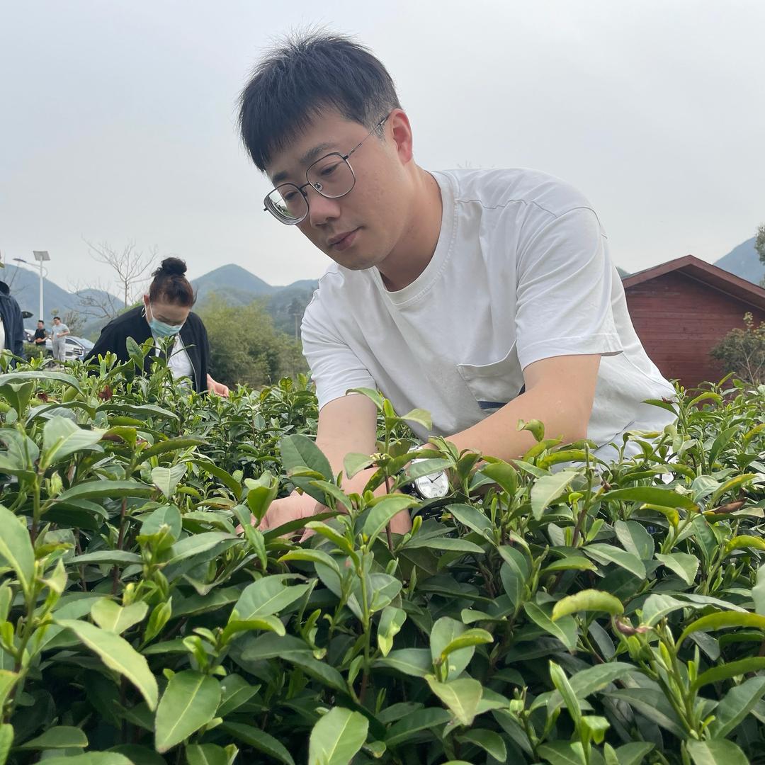 小杨哥的战糖日记
