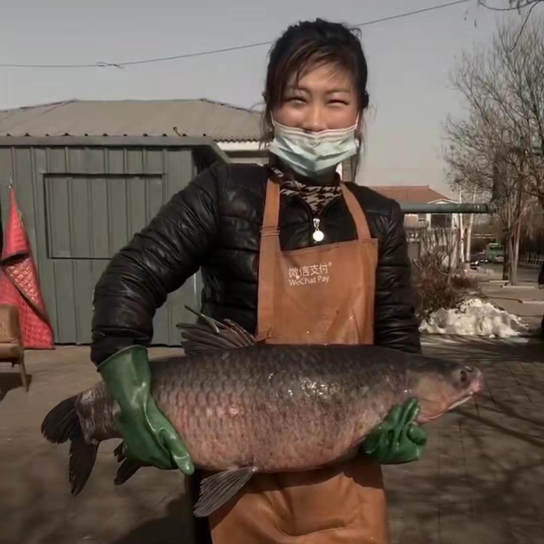 漳泽水库野生鱼