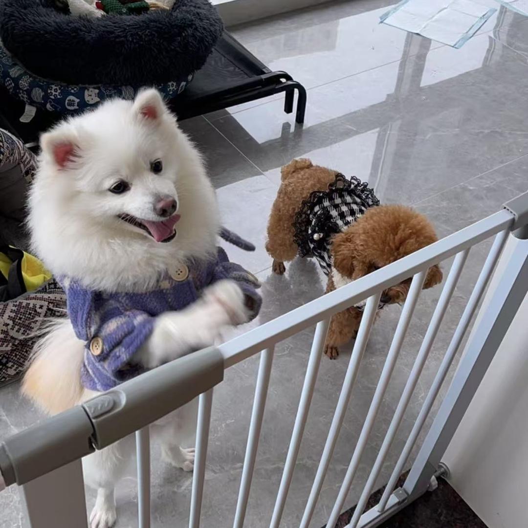 日欢囍品