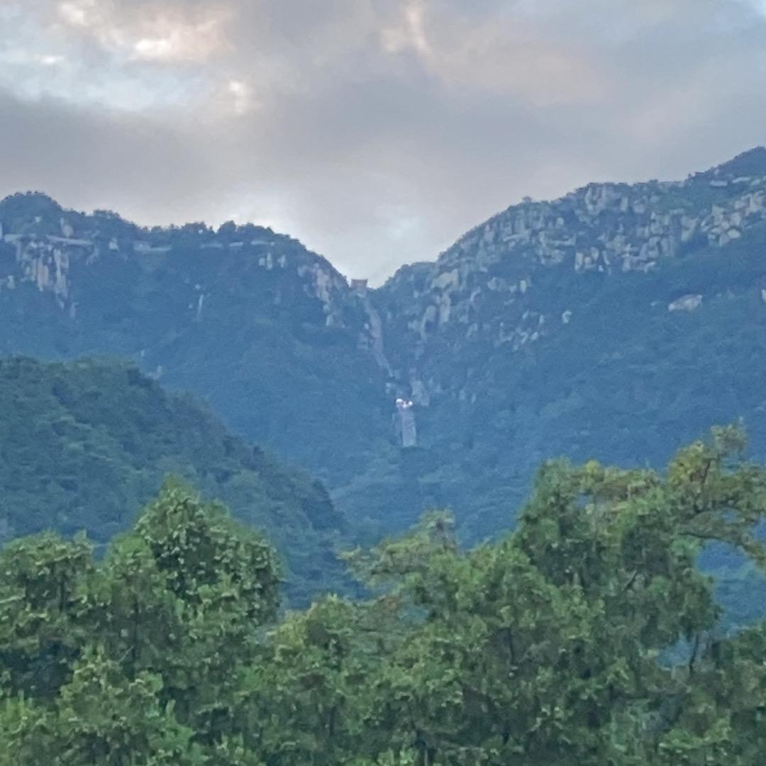 小土豆