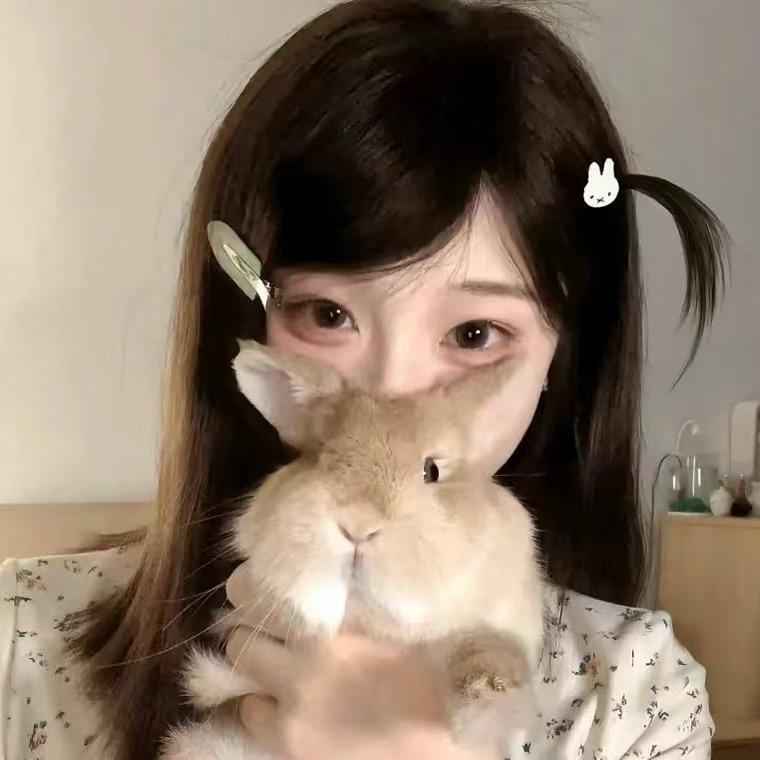猛猛出金