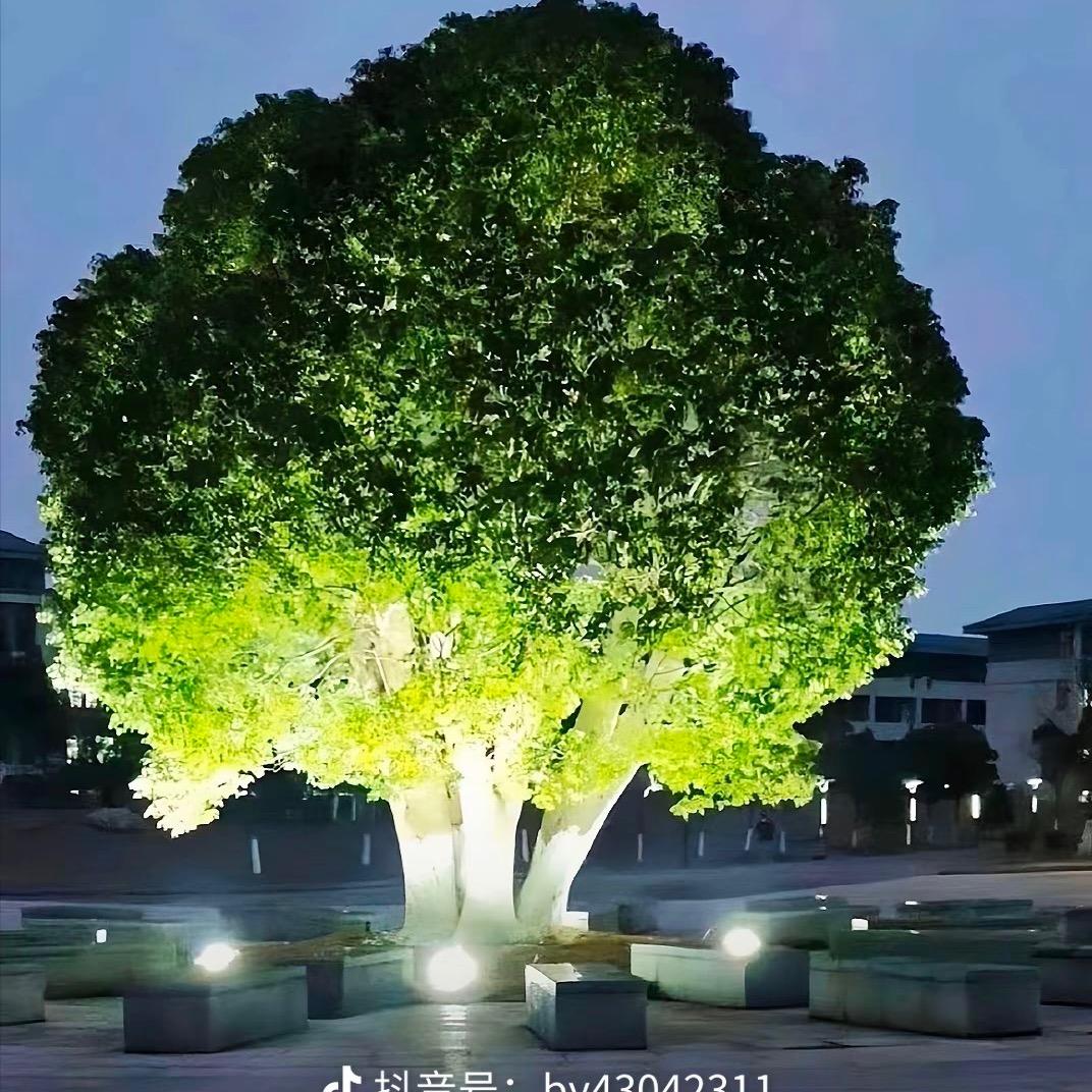 接受当下