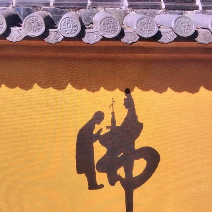 悟道道友
