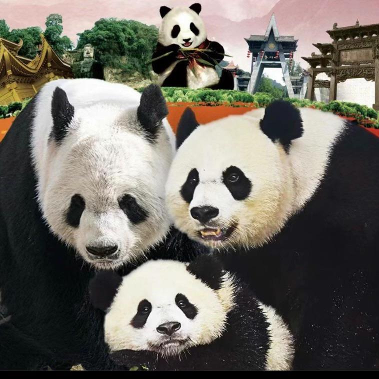 厚厚六六