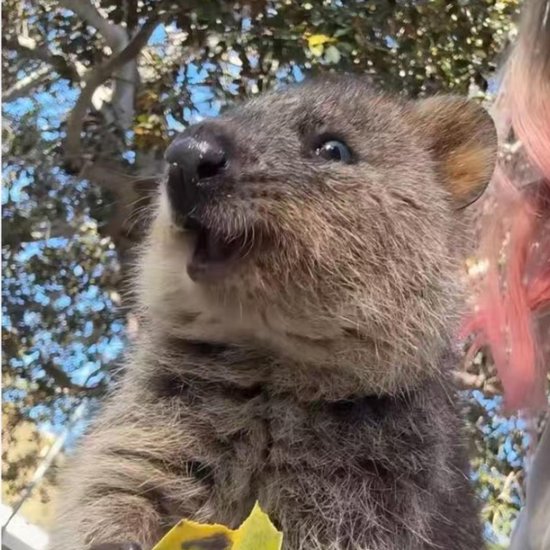 🌈余额不足请充值