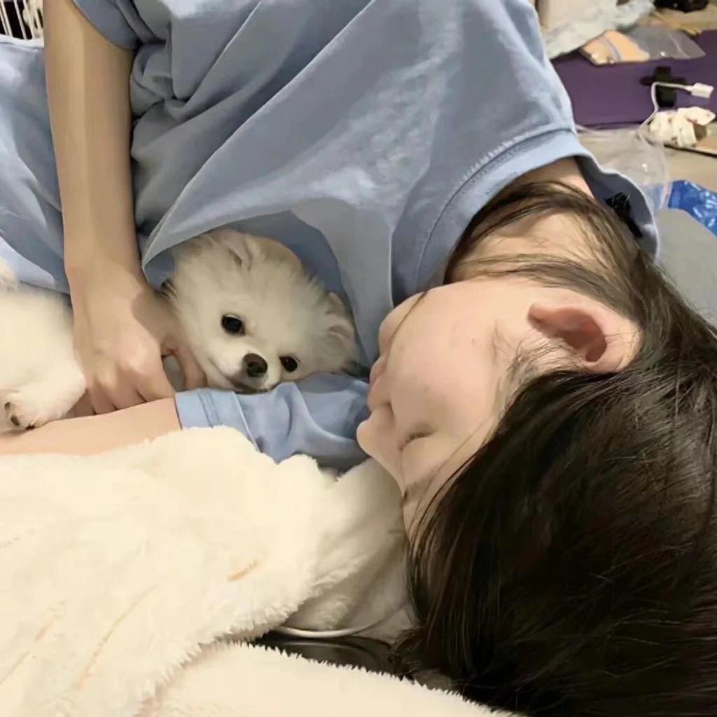 蛋黄的头发
