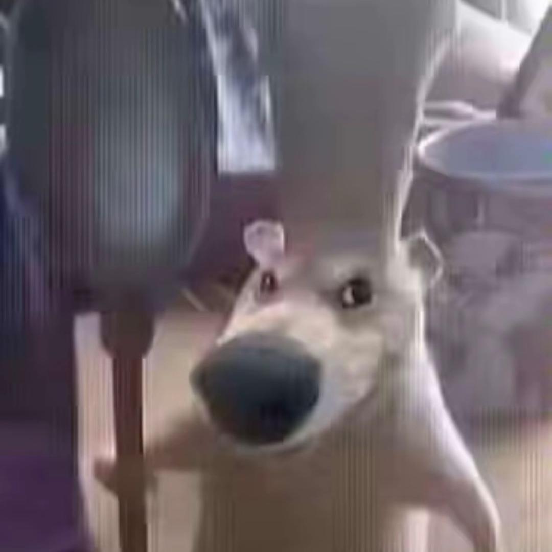 炸鱼块