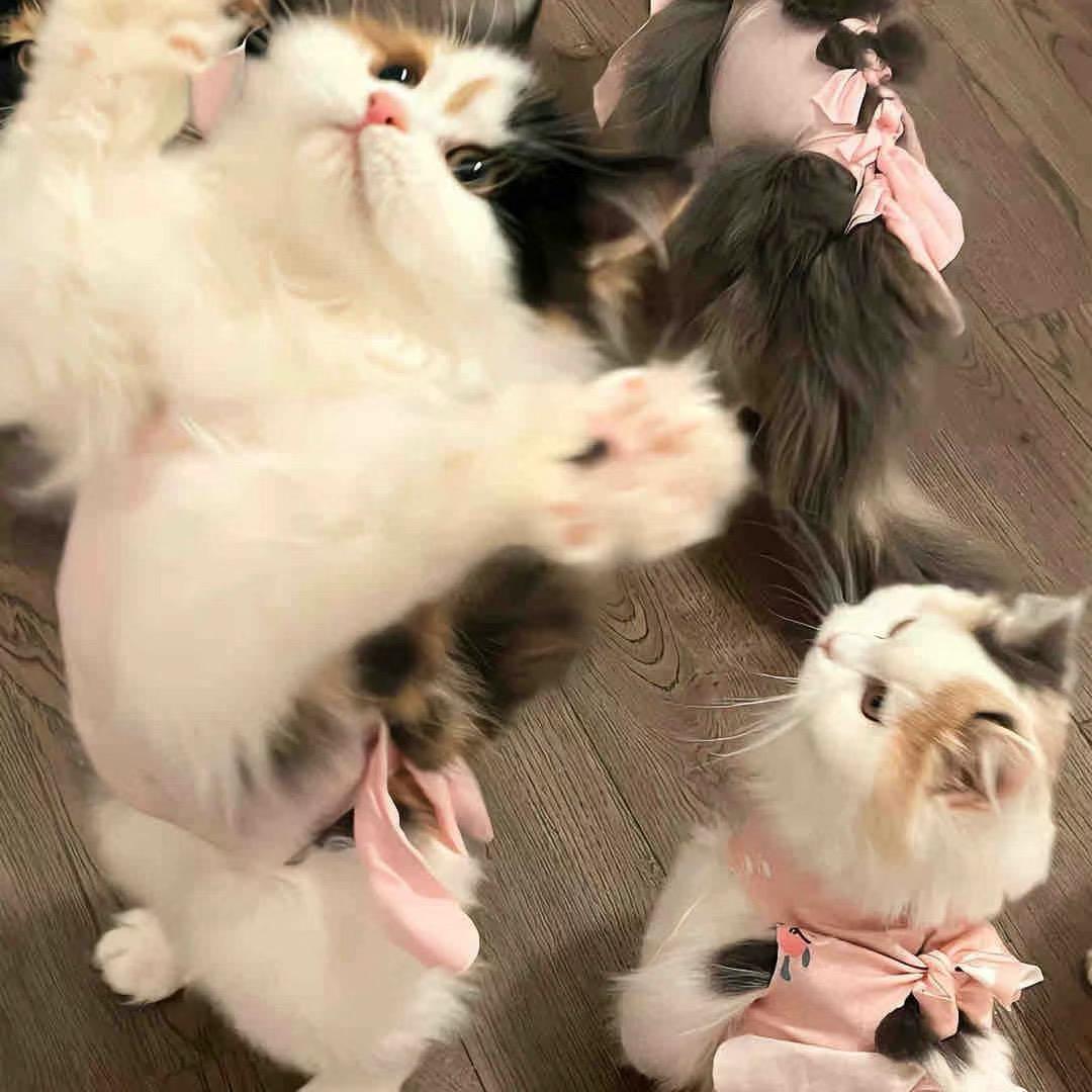 薪晨户外用品
